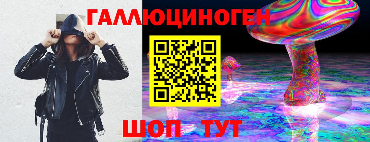Псилоцибиновые грибы Cubensis Новороссийск